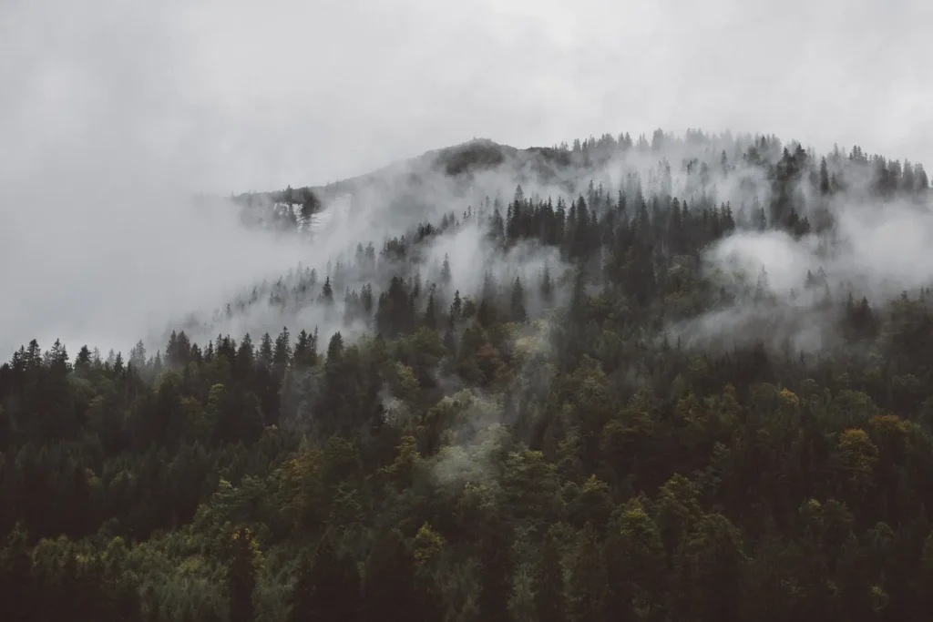 Shire